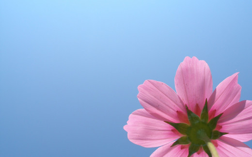 467233 (a): :2560x1600